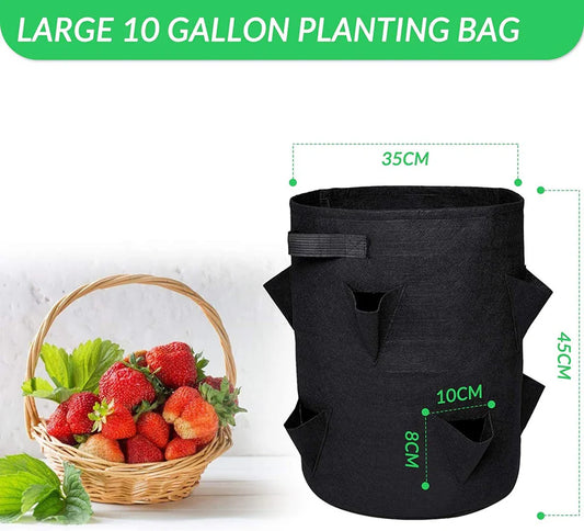 Imagen de bolsas de cultivo de fresas de hardinox, mostrando su diseño reutilizable y duradero en fieltro negro. Perfectas para huertos en casa y cultivo hidropónico. ¡Haz clic para obtener más información y mejorar tu huerto hoy