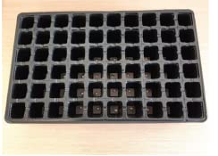 Pack 5 Bandejas de Germinación 60 Alveolos | Semillero 100% Material Reciclable | Propagador de Semillas