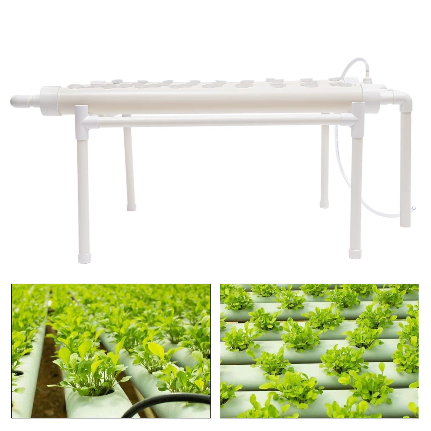 Kit de cultivo hidropónico, 1 capa, 54 plantas