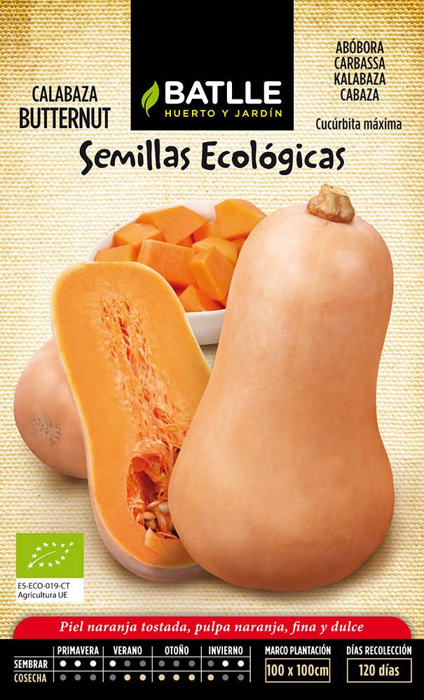 Semillas Batlle Calabaza Butternut - ECO