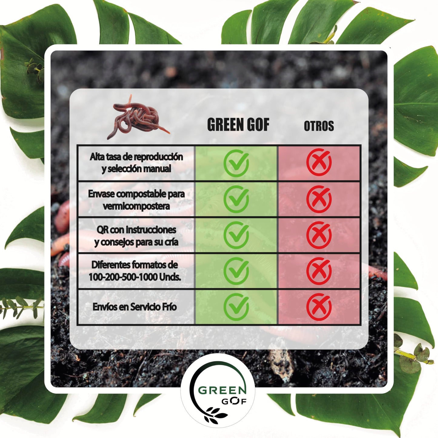 Lombriz Roja Californiana (Eisenia Foetida), 500 Unds.