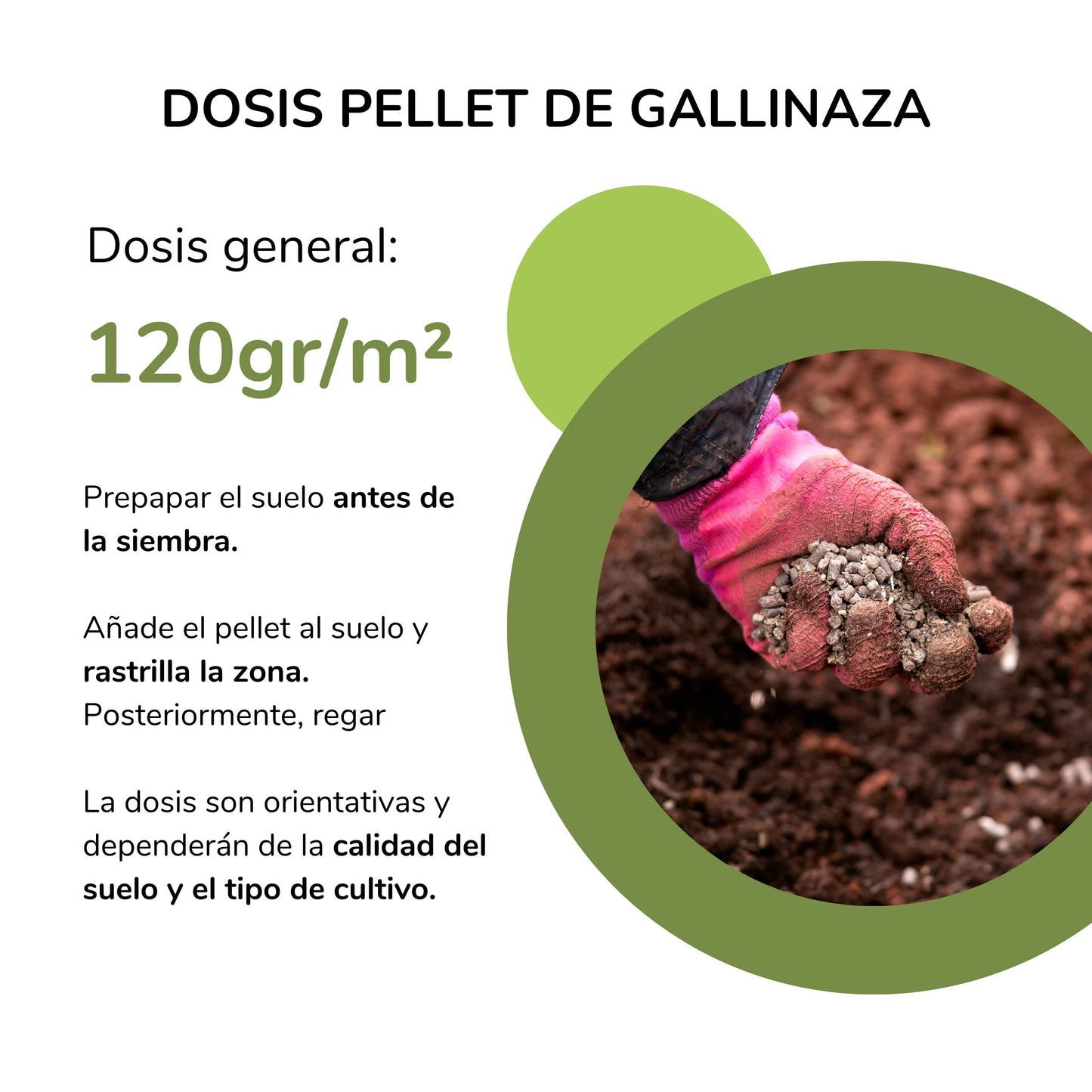 Gallinaza - Compost Orgánico en Pellet de 25kg - Abono Ecológico para el Huerto y Plantas de Interior - Abono Sólido en Pellet - Estiércol Compostado Gallina - Abono NPK | Agricultura Ecológica (25)