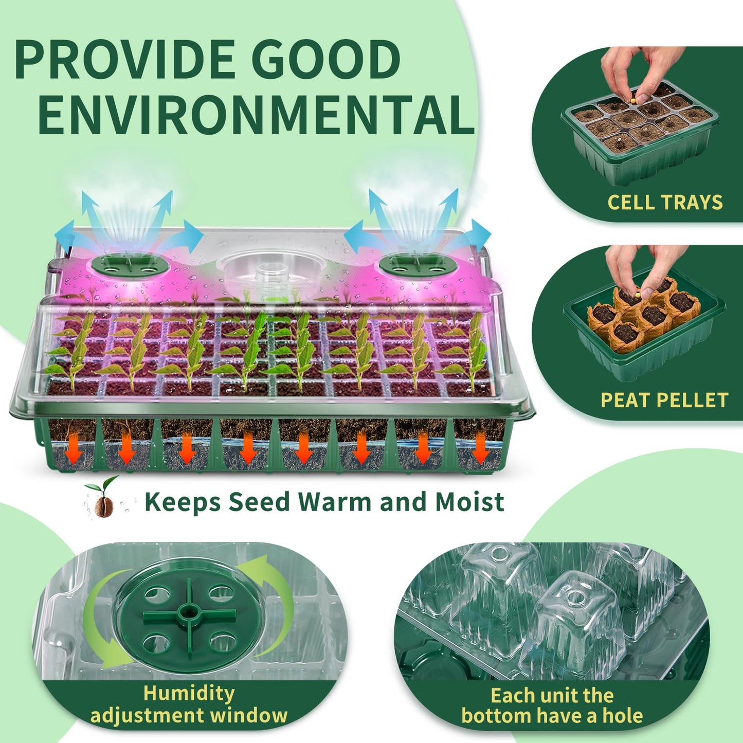 YAUNGEL Bandejas Semilleros de Germinacion