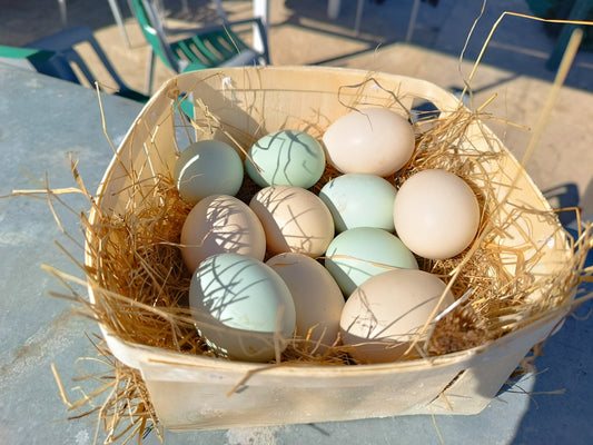 huevos azules