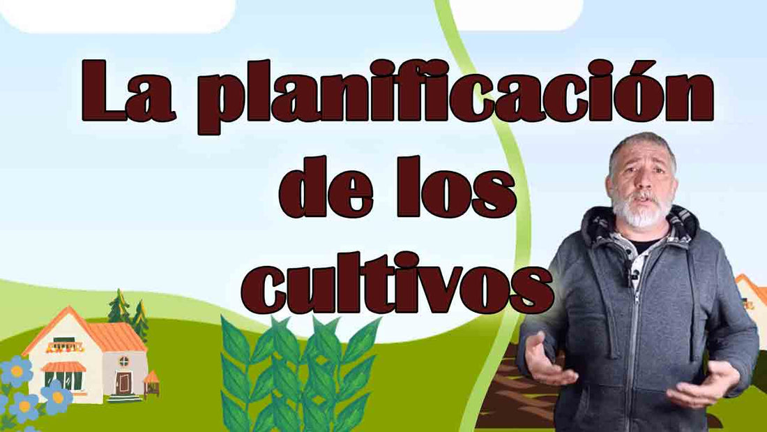 La planificación de los cultivos