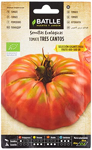 Semillas Batlle Tomate Tres cantos Gigante Rosa - ECO