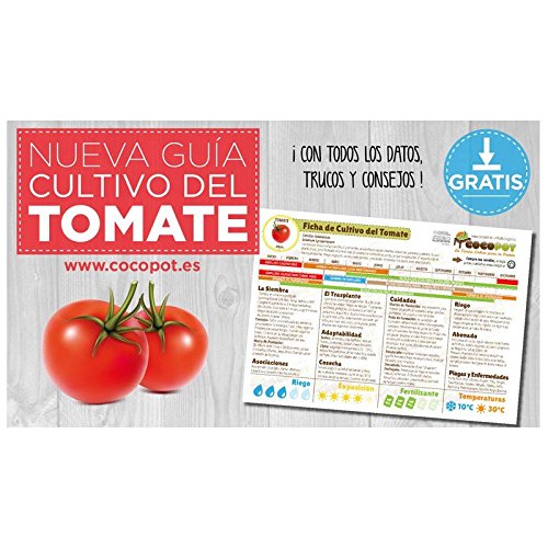 Semillas Batlle Tomate de Colgar Sel. DOMINGO - ECO