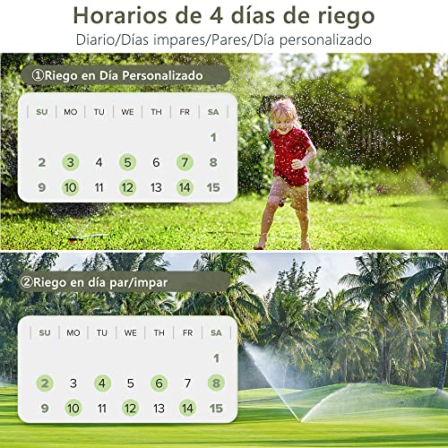 Programador de Riego WiFi Diivoo con 6 Programas, Retraso por Lluvia, Compatible con Alexa y Google Assistant