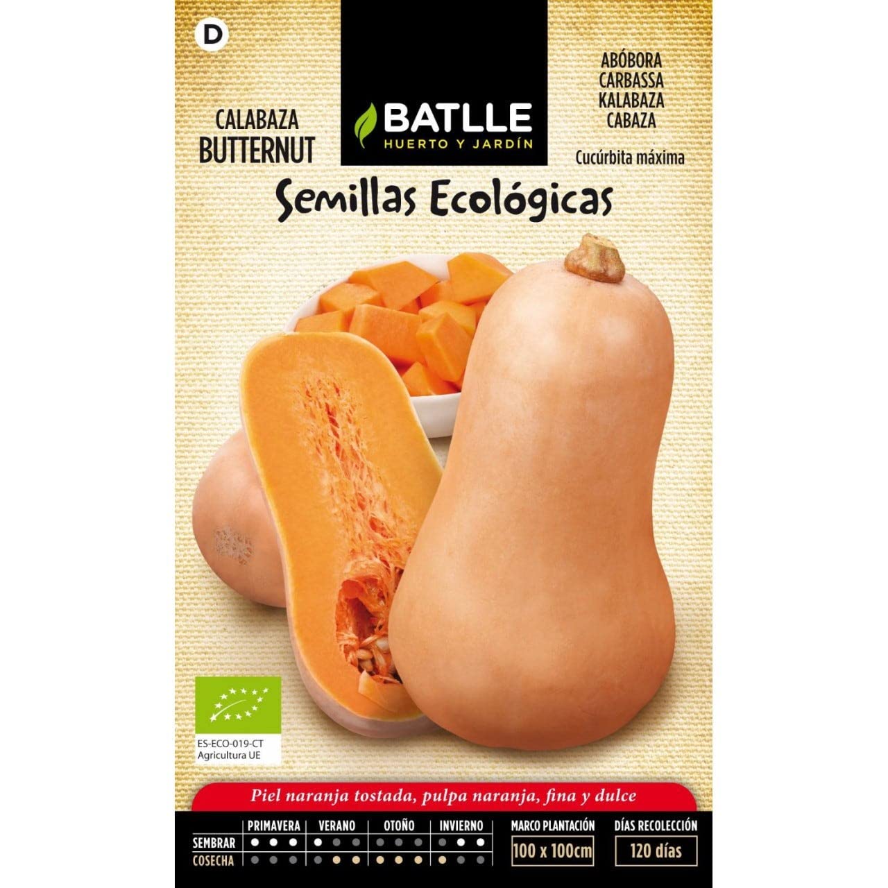 Semillas Batlle Calabaza Butternut - ECO