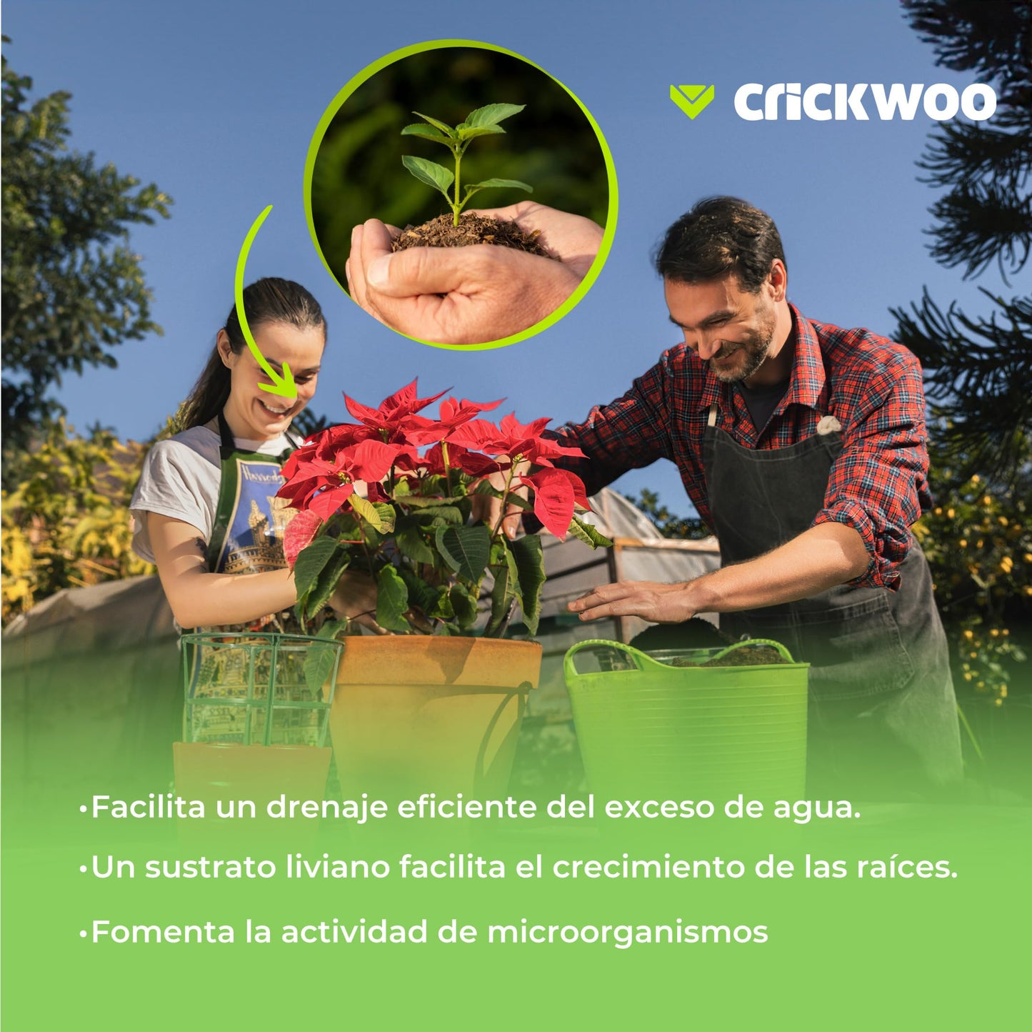 Crickwoo - Humus de Lombriz para Plantas Puro. Saca Big-Bag 1m3-1.000L / 600KG, Abono Natural