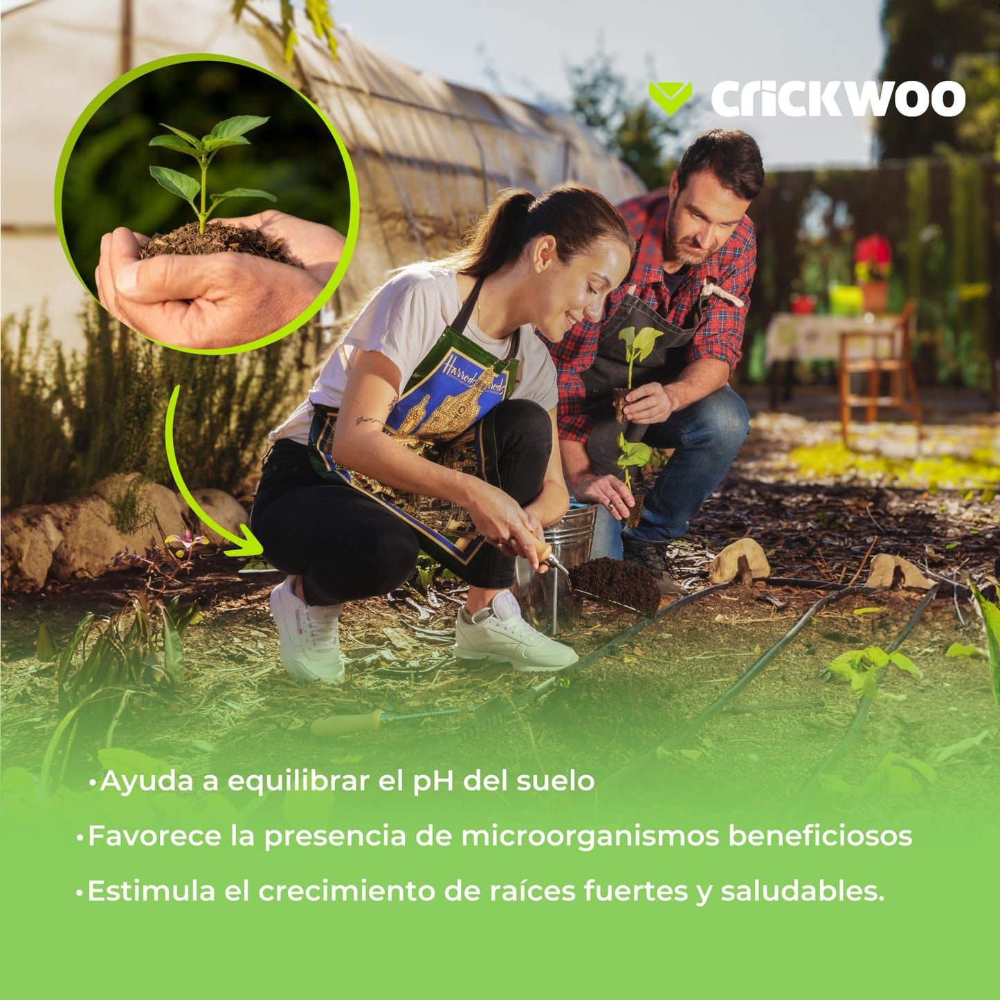 Crickwoo - Humus de Lombriz para Plantas Puro. Palet 24 Sacos 42L / 25KG, Abono Natural