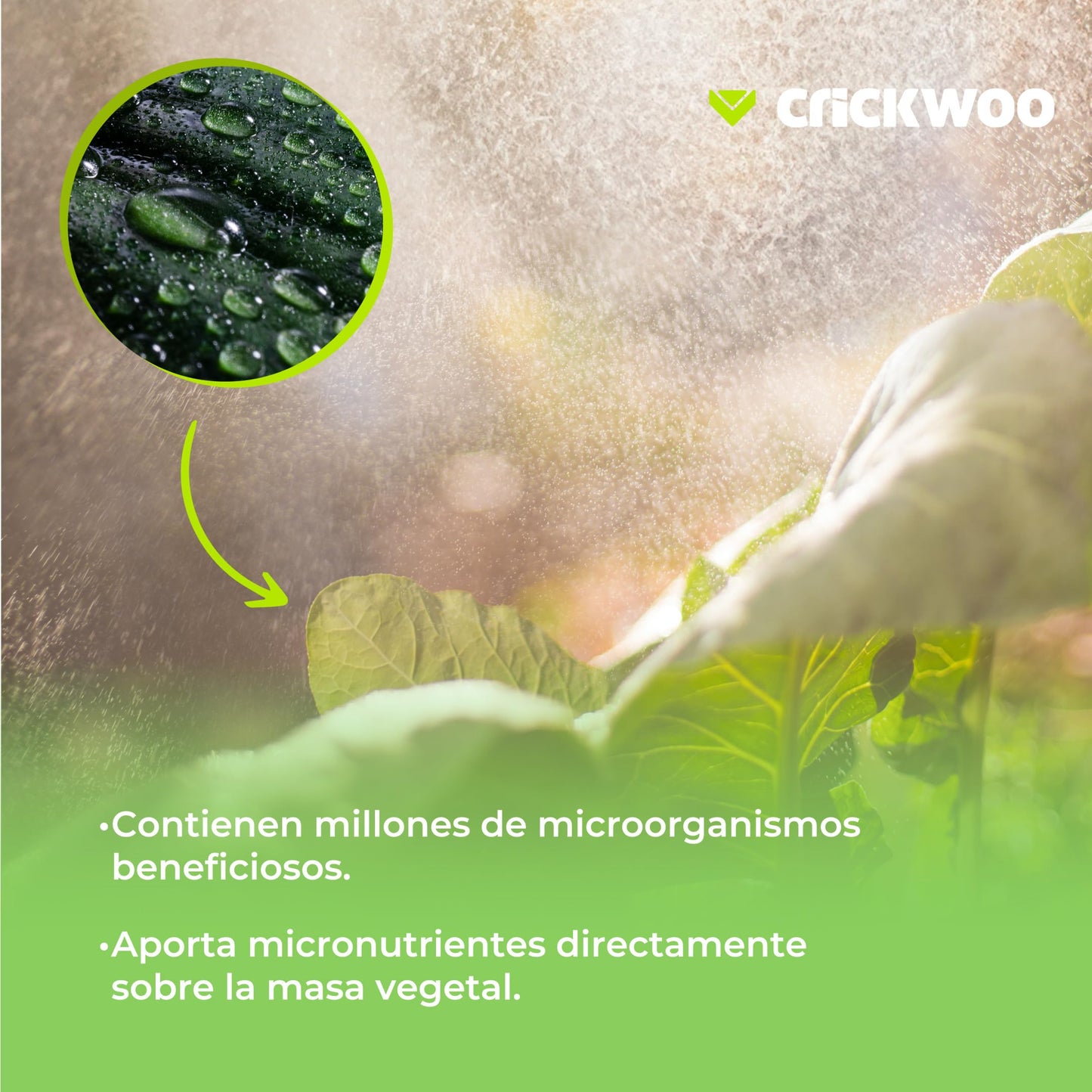 CRICKWOO - Humus de Lombriz Líquido - 1M3-1.000L, Fertilizante Foliar, Abono Orgánico